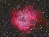 강추위 속에 피어난 빨간 장미(NGC2244, 장미 성운)